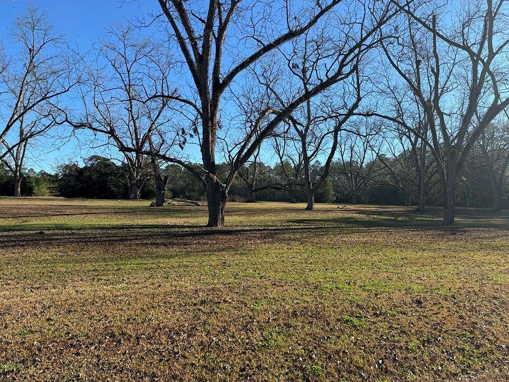 2.9 Acres of Residential Land for Sale in Cairo, Georgia