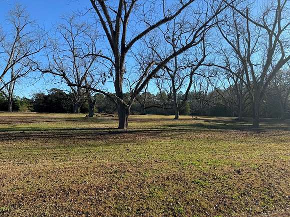 2.86 Acres of Residential Land for Sale in Cairo, Georgia