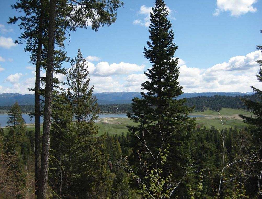 728 Acres of Land for Sale in Cascade, Idaho