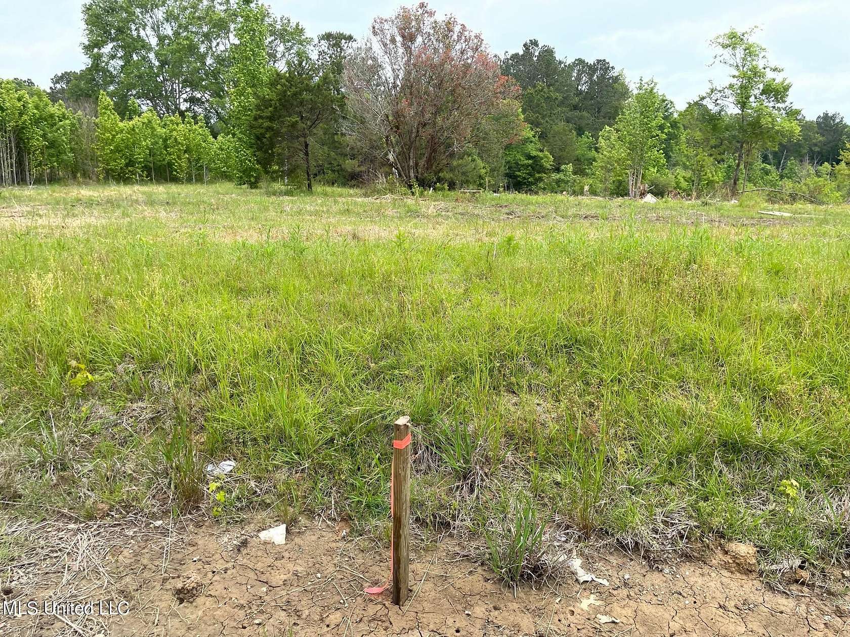 3.1 Acres of Residential Land for Sale in Canton, Mississippi