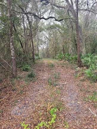 9.3 Acres of Land for Sale in Brunswick, Georgia