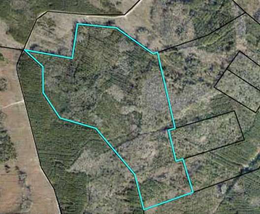 274 Acres of Recreational Land & Farm for Sale in Waverly, Georgia