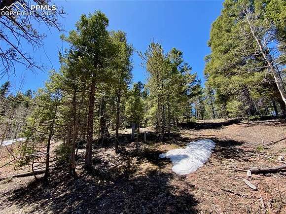 1.4 Acres of Residential Land for Sale in Divide, Colorado