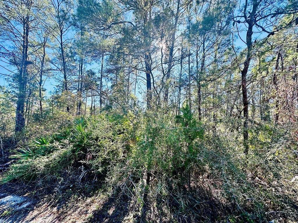 1 Acre of Residential Land for Sale in Carrabelle, Florida
