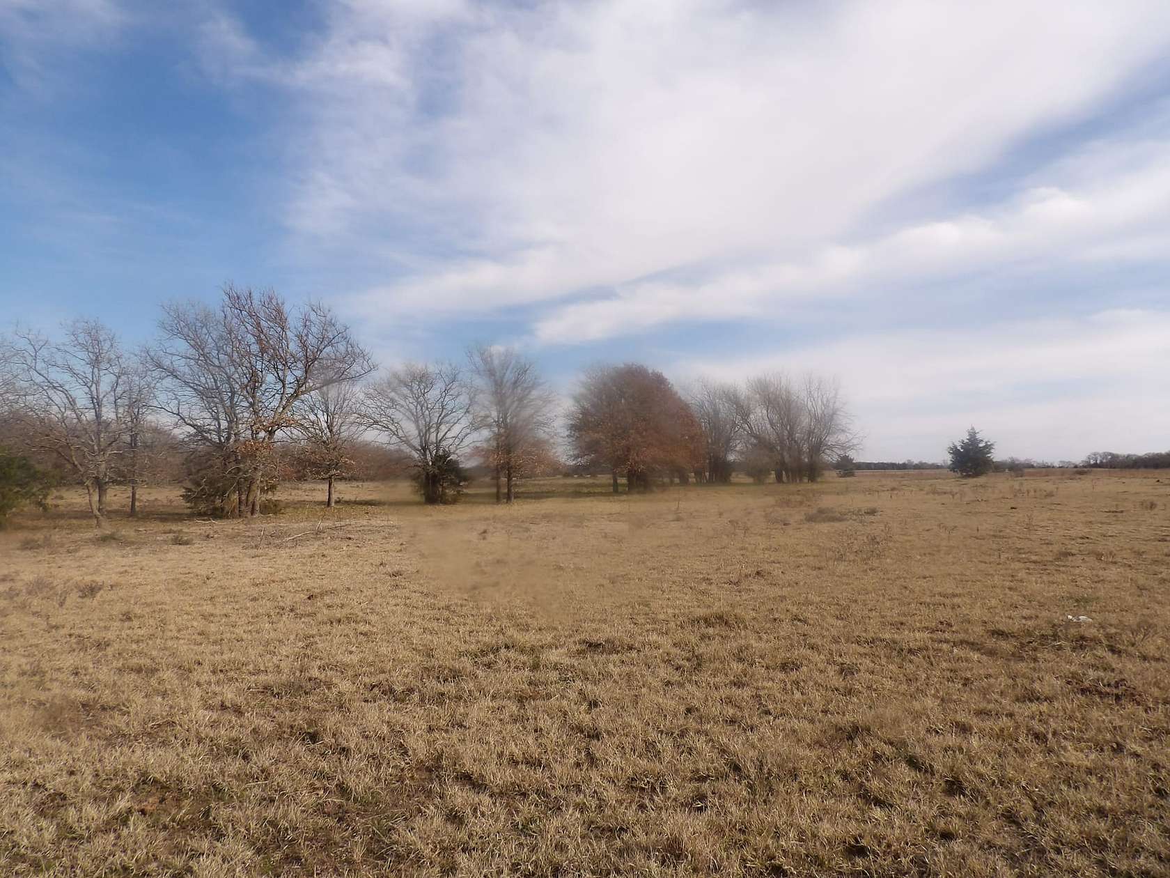230 Acres of Land for Sale in Coleman, Oklahoma