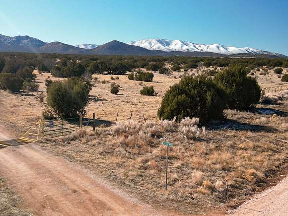 46.4 Acres of Recreational Land for Sale in Corona, New Mexico