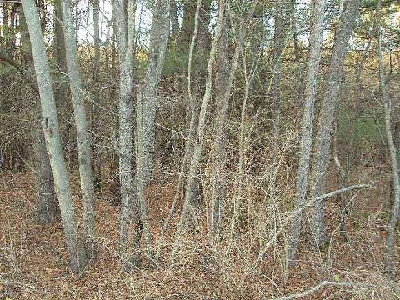 6.1 Acres of Land for Sale in Oneonta, New York