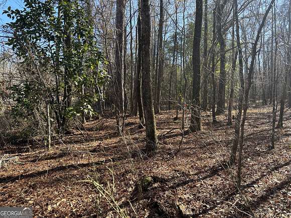 6.2 Acres of Residential Land for Sale in Warm Springs, Georgia