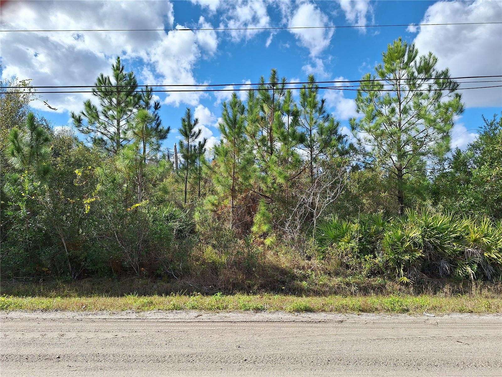 1 Acre of Residential Land for Sale in Bunnell, Florida