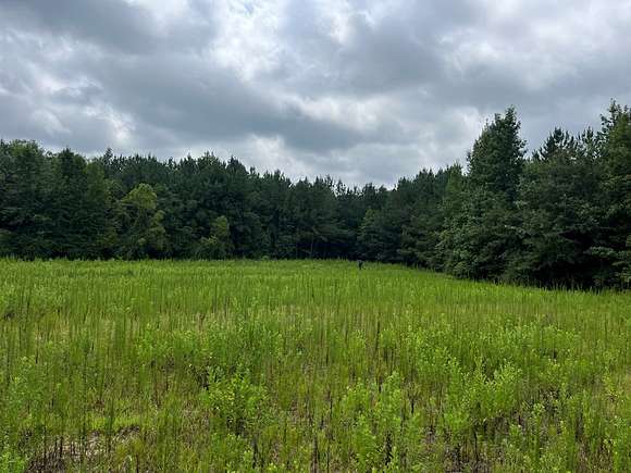 119 Acres of Land for Sale in Ozark, Alabama