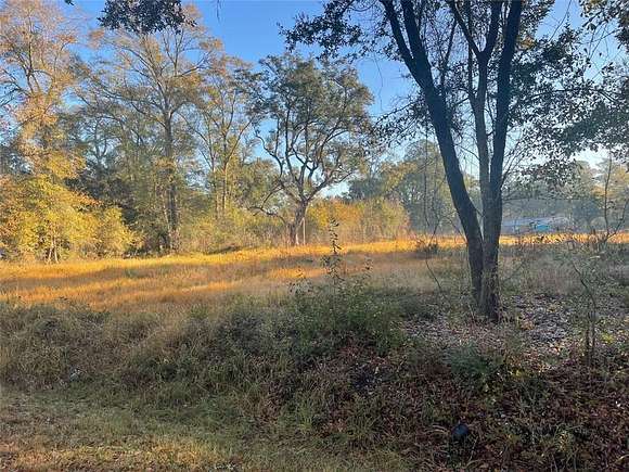 1 Acre of Residential Land for Sale in Axis, Alabama