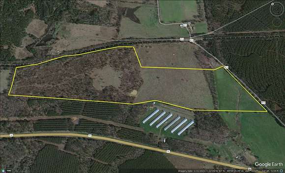 88.3 Acres of Agricultural Land for Sale in San Augustine, Texas