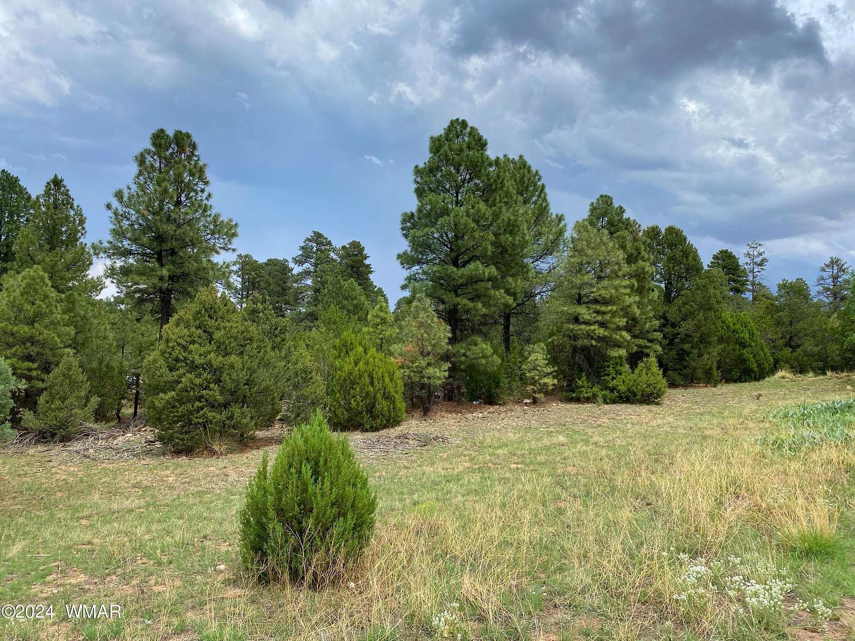 1.1 Acres of Commercial Land for Sale in Heber, Arizona