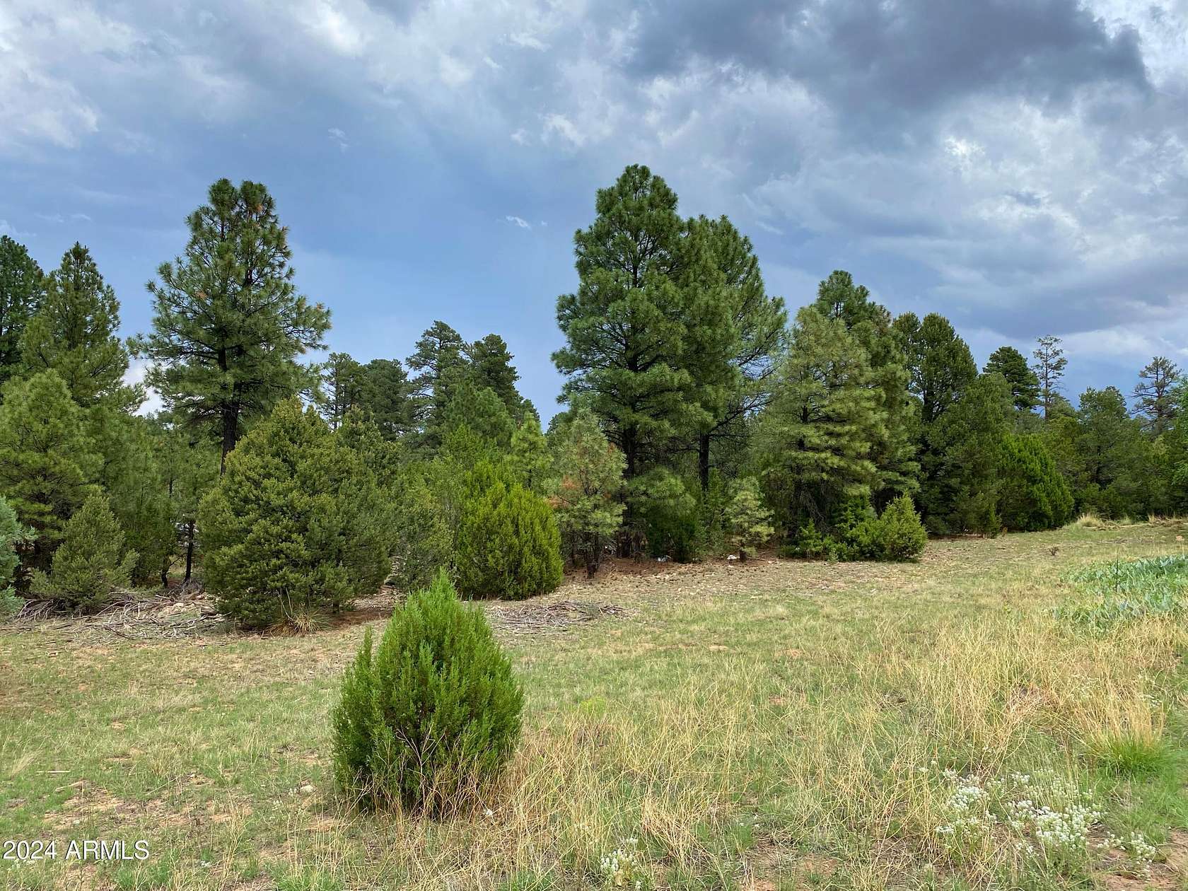 1.1 Acres of Commercial Land for Sale in Overgaard, Arizona