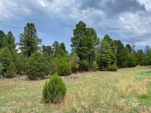 1.1 Acres of Commercial Land for Sale in Overgaard, Arizona
