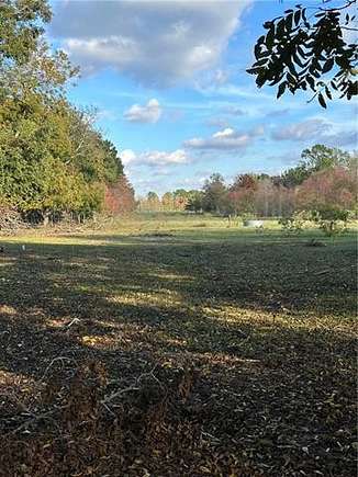 24 Acres of Agricultural Land for Sale in Mansura, Louisiana
