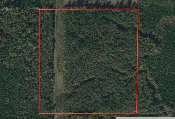 40 Acres of Recreational Land for Sale in Noxapater, Mississippi