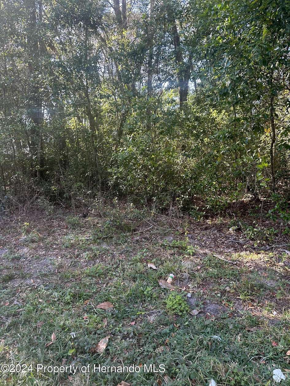0.19 Acres of Residential Land for Sale in Spring Hill, Florida