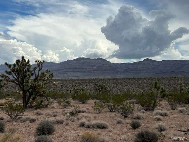 Land for Sale in Meadview, Arizona