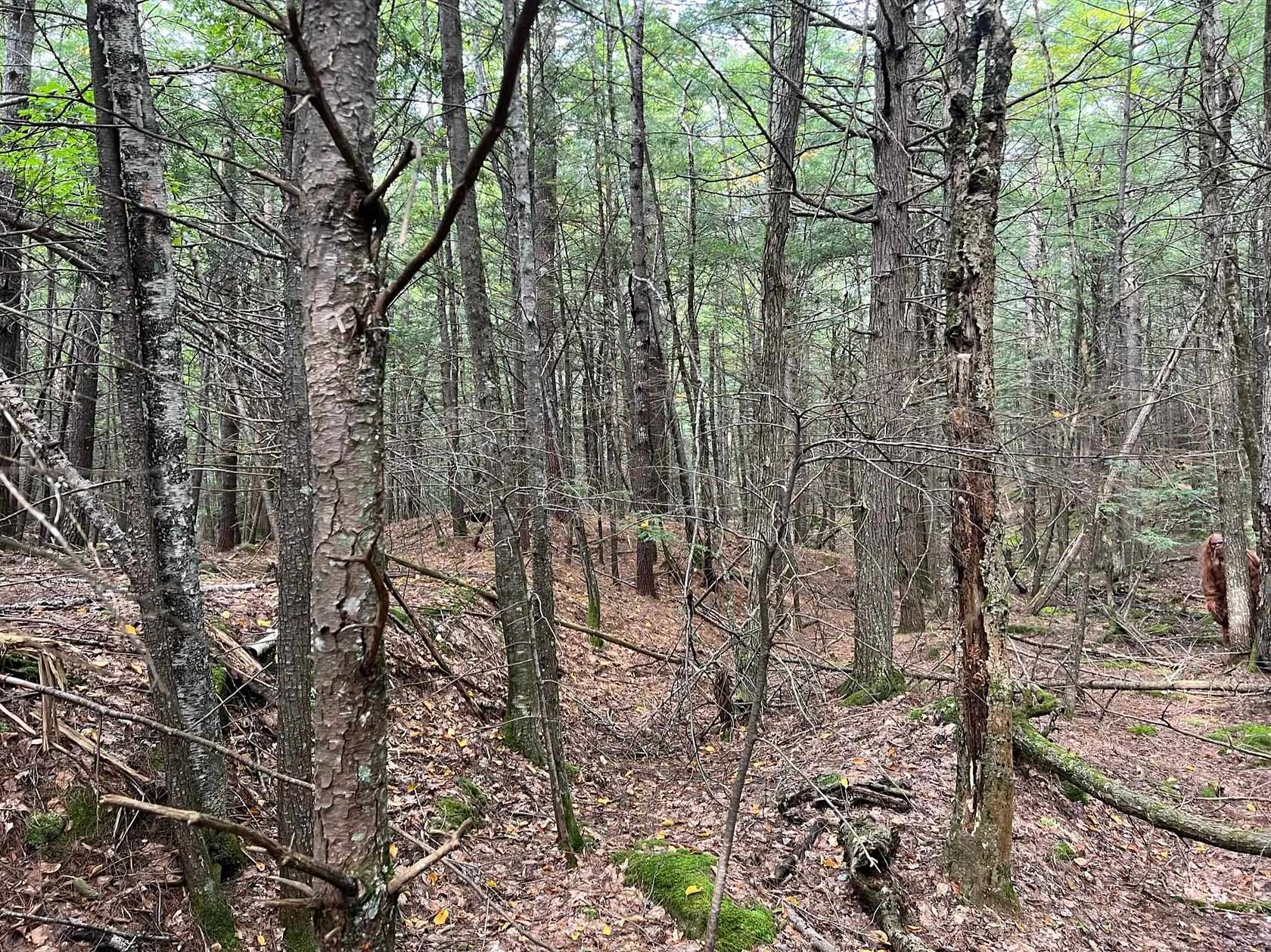 11 Acres of Recreational Land for Sale in Northwood, New Hampshire