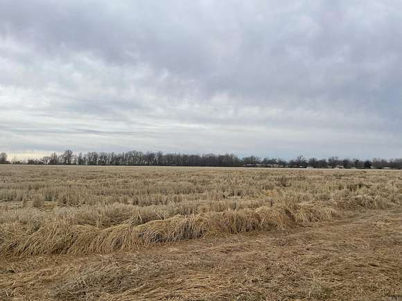 80 Acres of Agricultural Land for Sale in Hoxie, Arkansas
