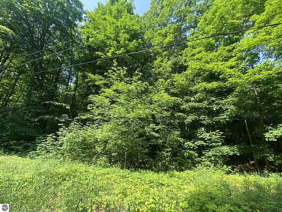 0.27 Acres of Residential Land for Sale in Lake Ann, Michigan