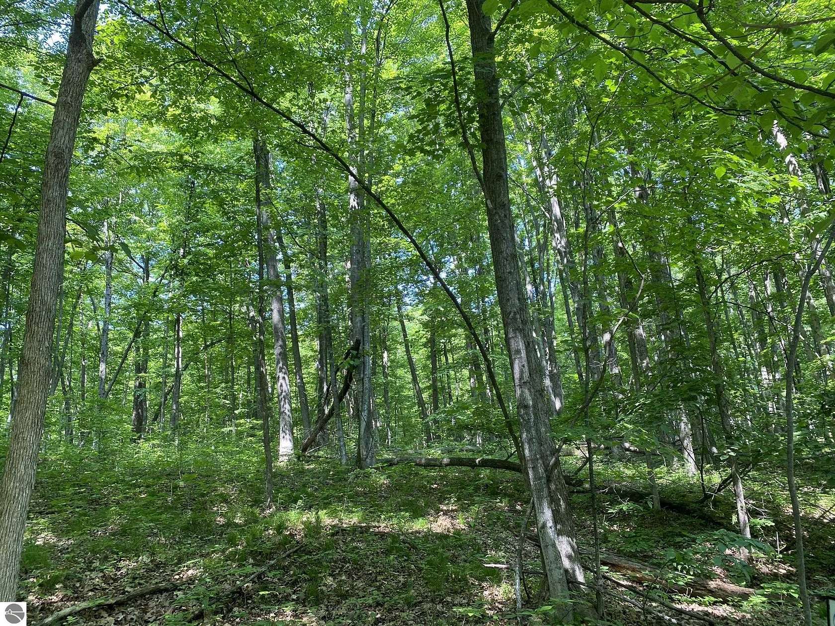 0.31 Acres of Residential Land for Sale in Lake Ann, Michigan