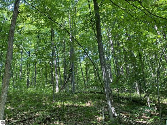 0.31 Acres of Residential Land for Sale in Lake Ann, Michigan
