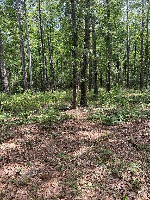 1.9 Acres of Residential Land for Sale in Walterboro, South Carolina