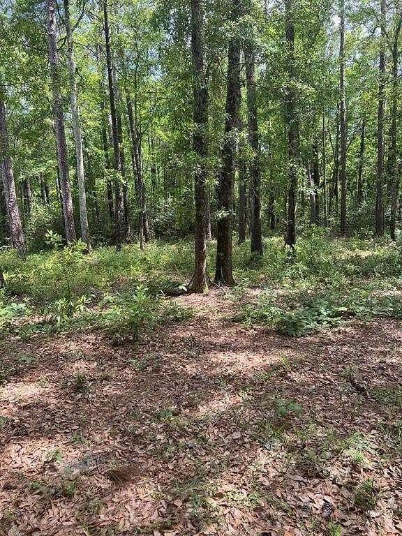 1.94 Acres of Residential Land for Sale in Walterboro, South Carolina