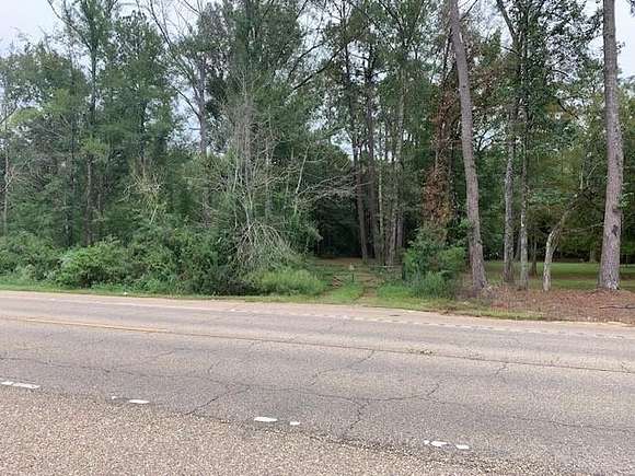 100 Acres of Land for Sale in Robert, Louisiana