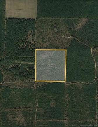40 Acres of Recreational Land for Sale in Oberlin, Louisiana