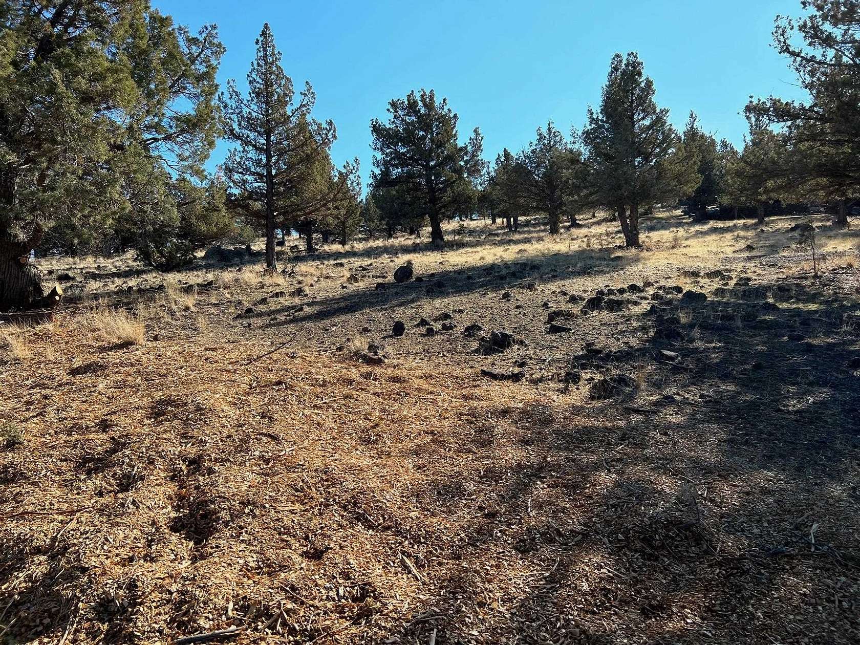 0.43 Acres of Residential Land for Sale in Weed, California