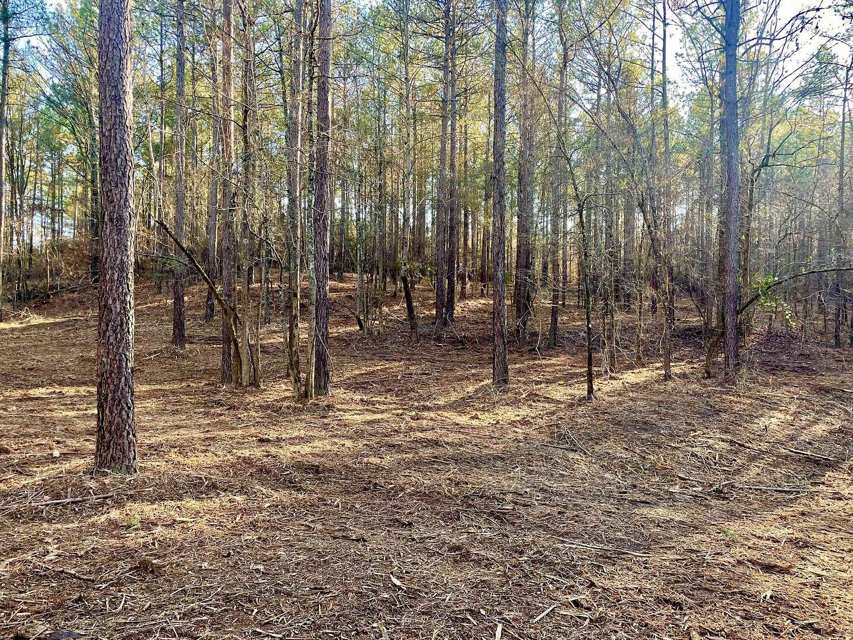 10.7 Acres of Land for Sale in Madison, Georgia