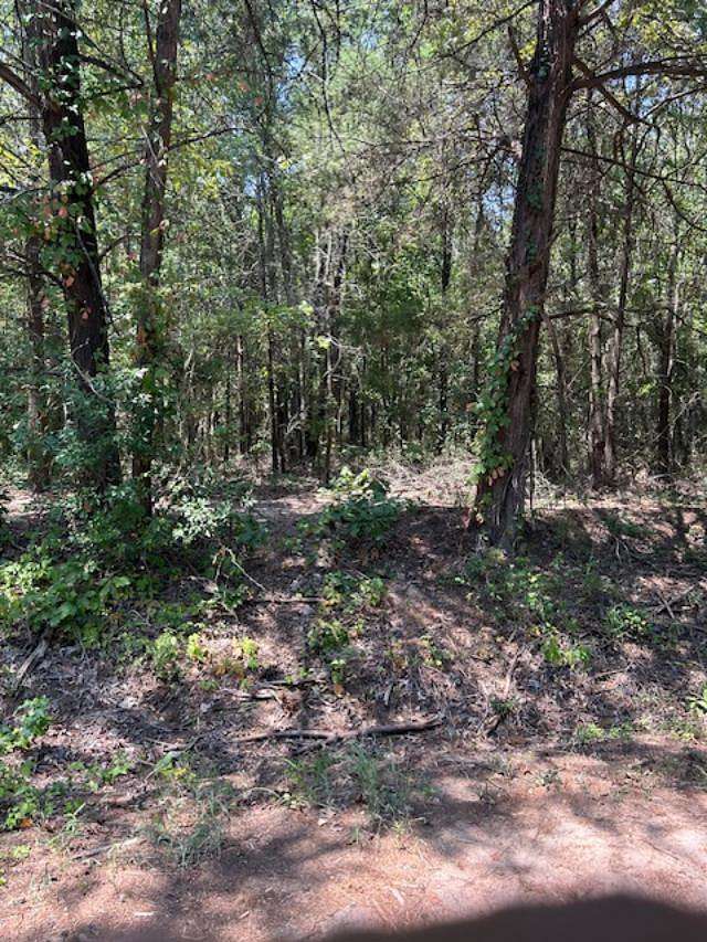 27 Acres of Recreational Land for Sale in Avinger, Texas