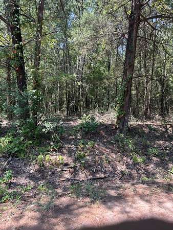 27 Acres of Recreational Land for Sale in Avinger, Texas