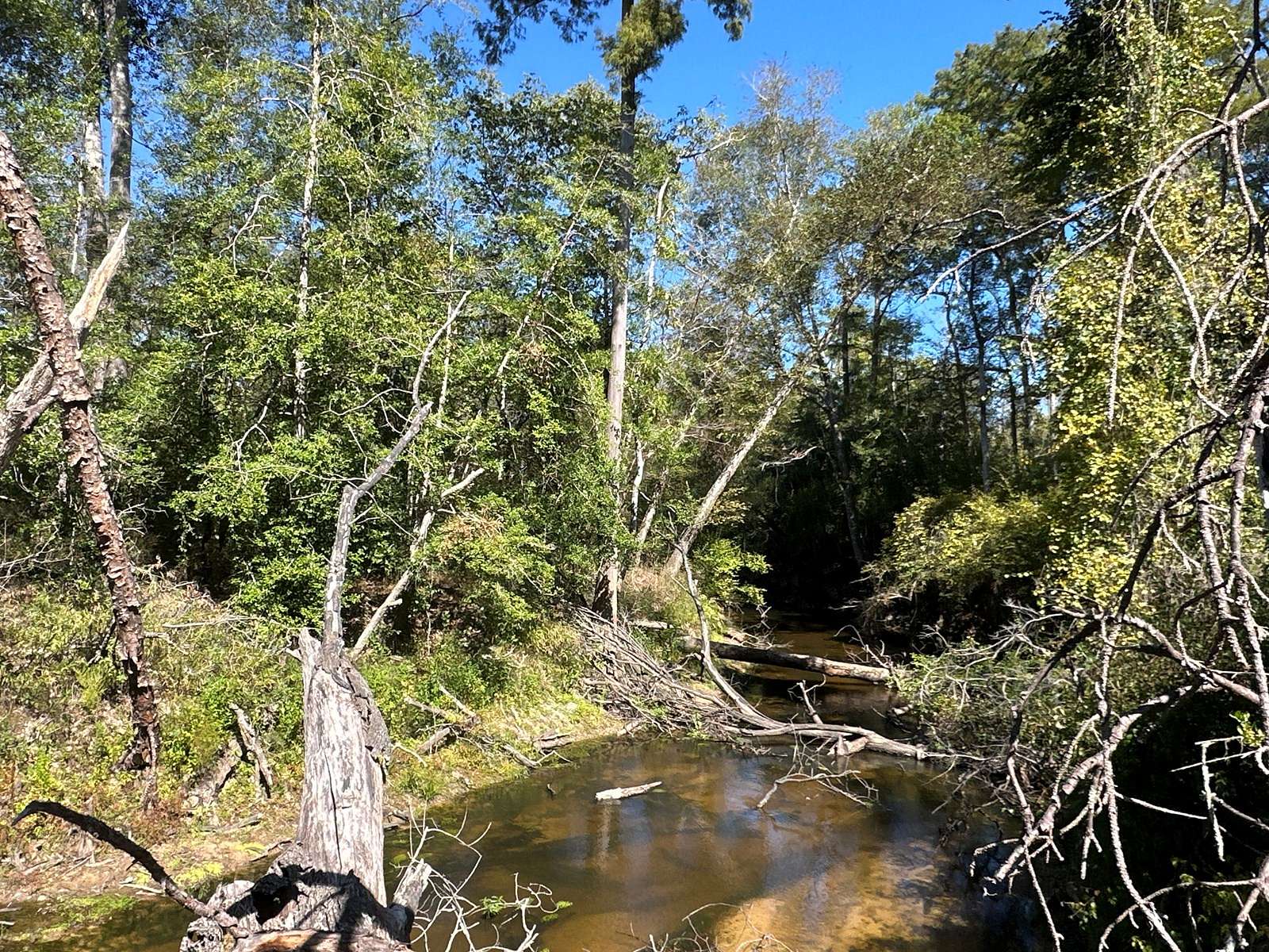 547 Acres of Recreational Land & Farm for Sale in Pitkin, Louisiana