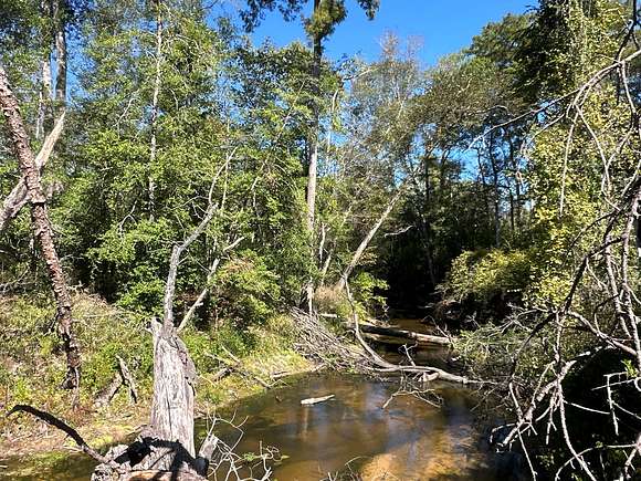 547 Acres of Recreational Land & Farm for Sale in Pitkin, Louisiana