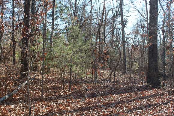 0.23 Acres of Residential Land for Sale in Theodosia, Missouri