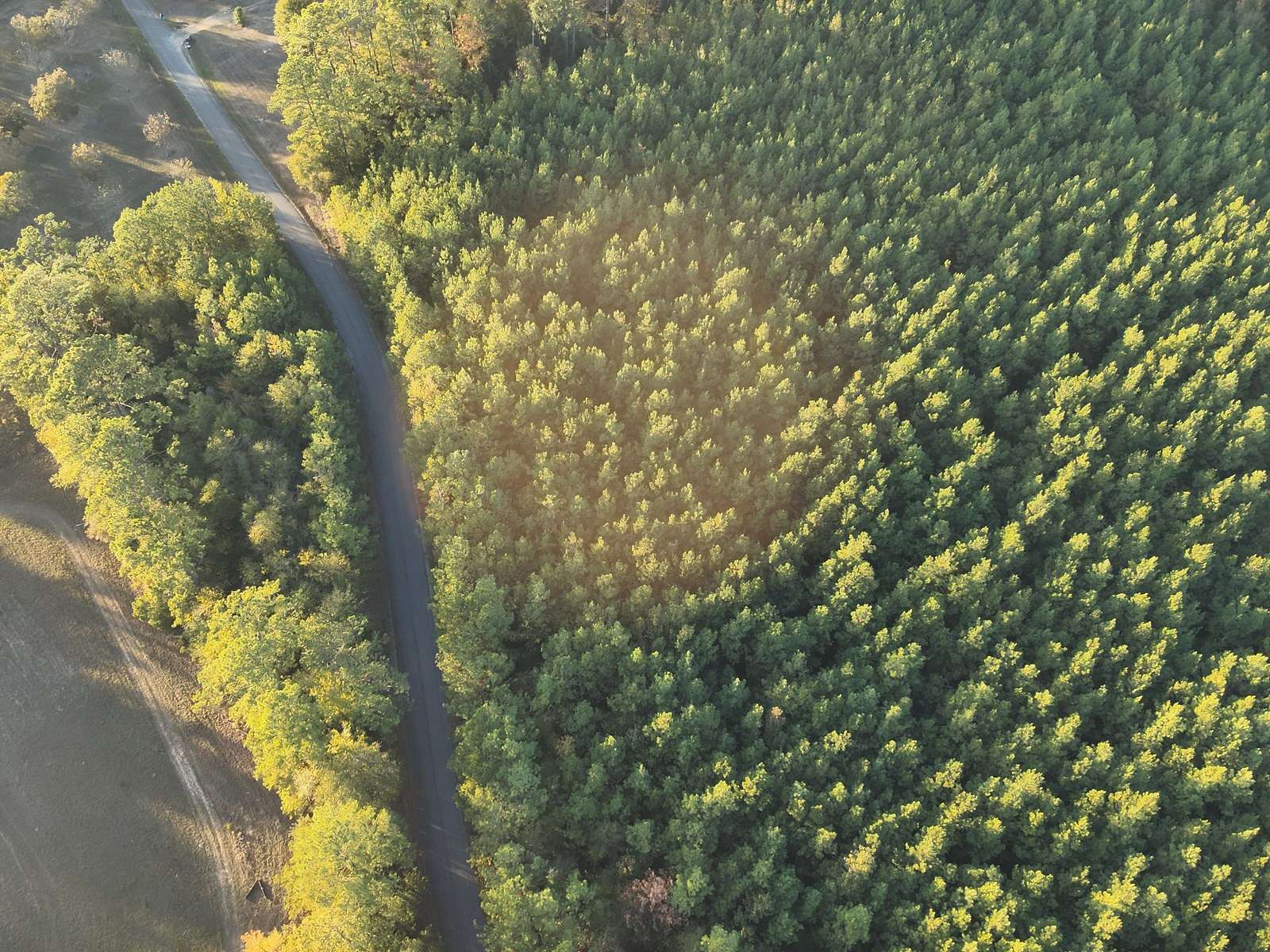 424 Acres of Land for Sale in Pitkin, Louisiana