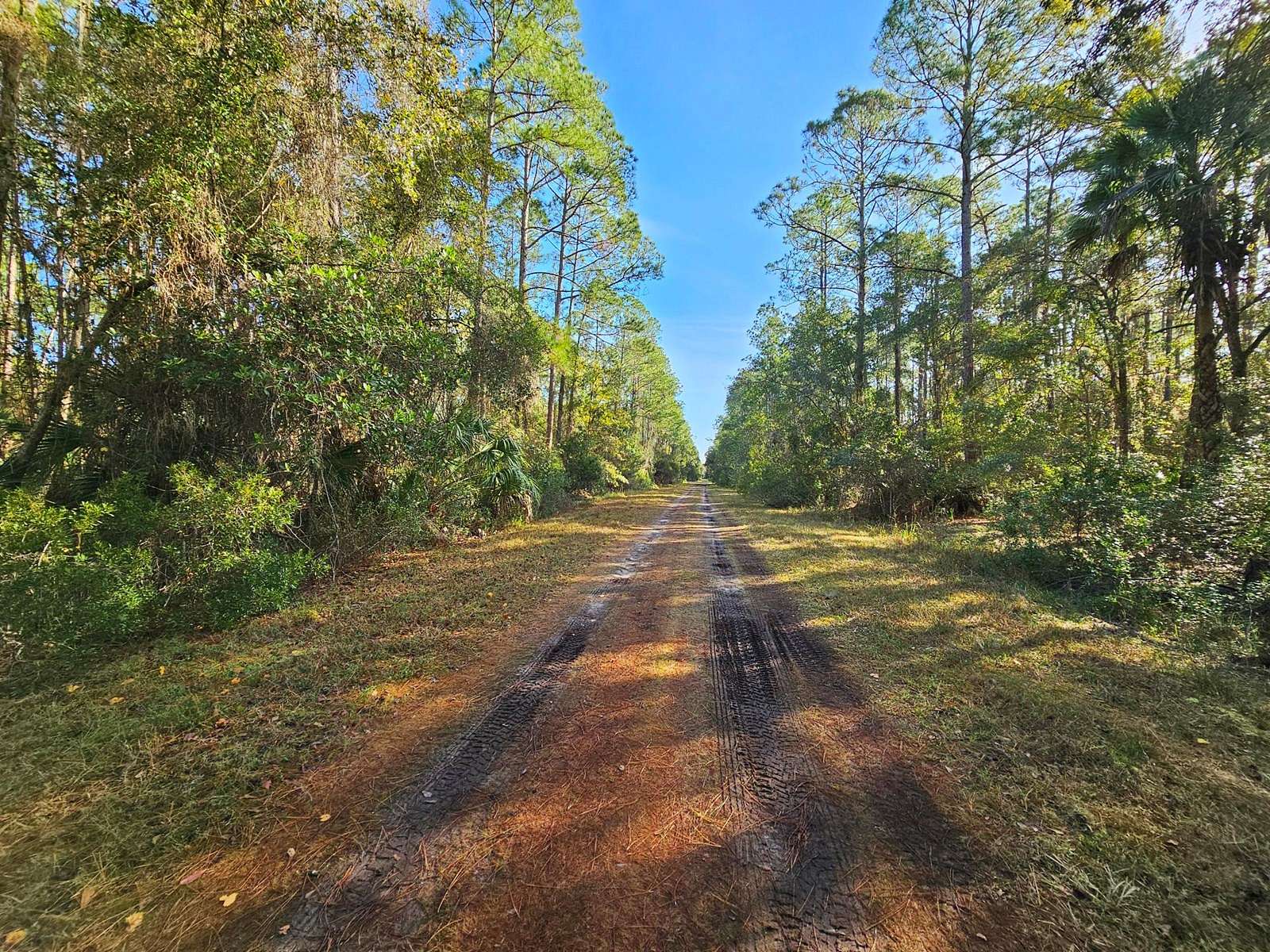 0.24 Acres of Residential Land for Sale in Georgetown, Florida