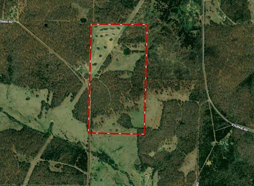 80 Acres of Recreational Land & Farm for Sale in Viola, Arkansas