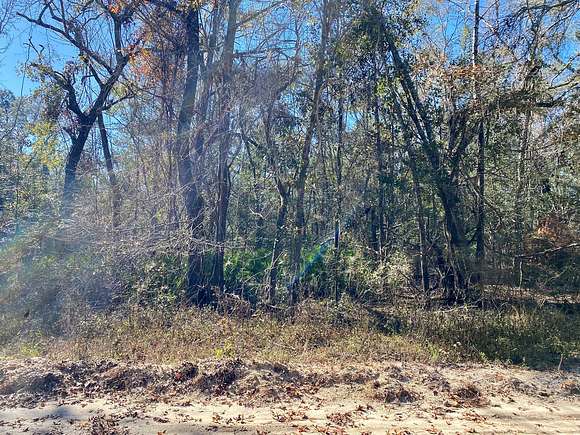 0.8 Acres of Land for Sale in Jennings, Florida