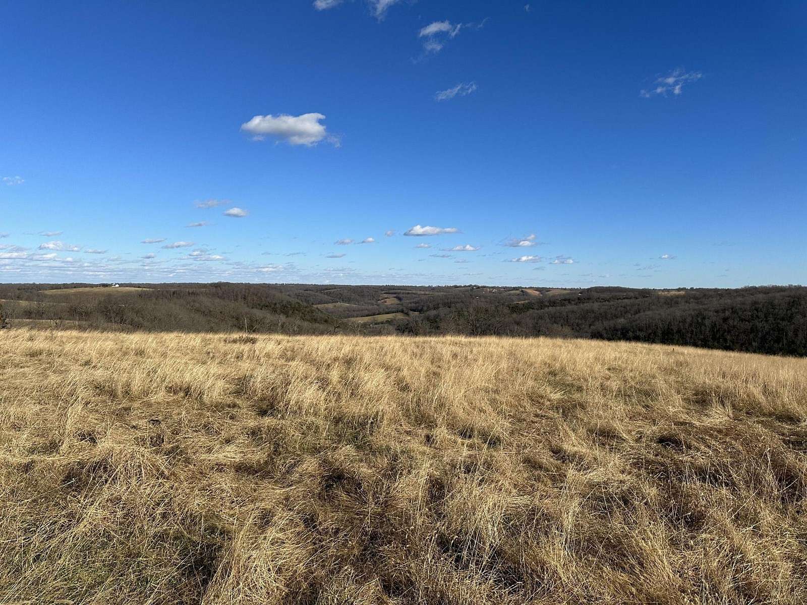 100 Acres of Land for Sale in Harrison, Arkansas