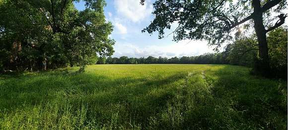 64.5 Acres of Land for Sale in Huntington, Texas
