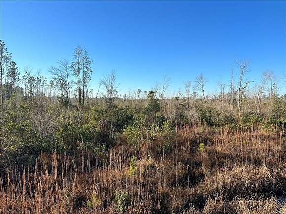 9.2 Acres of Residential Land for Sale in Guysie, Georgia