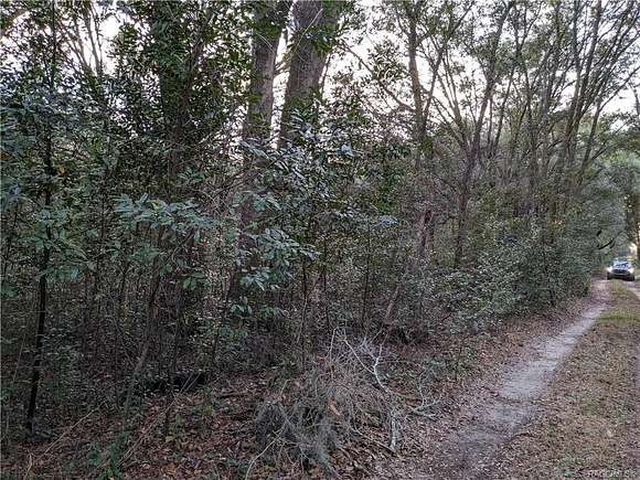 0.34 Acres of Residential Land for Sale in Ocala, Florida