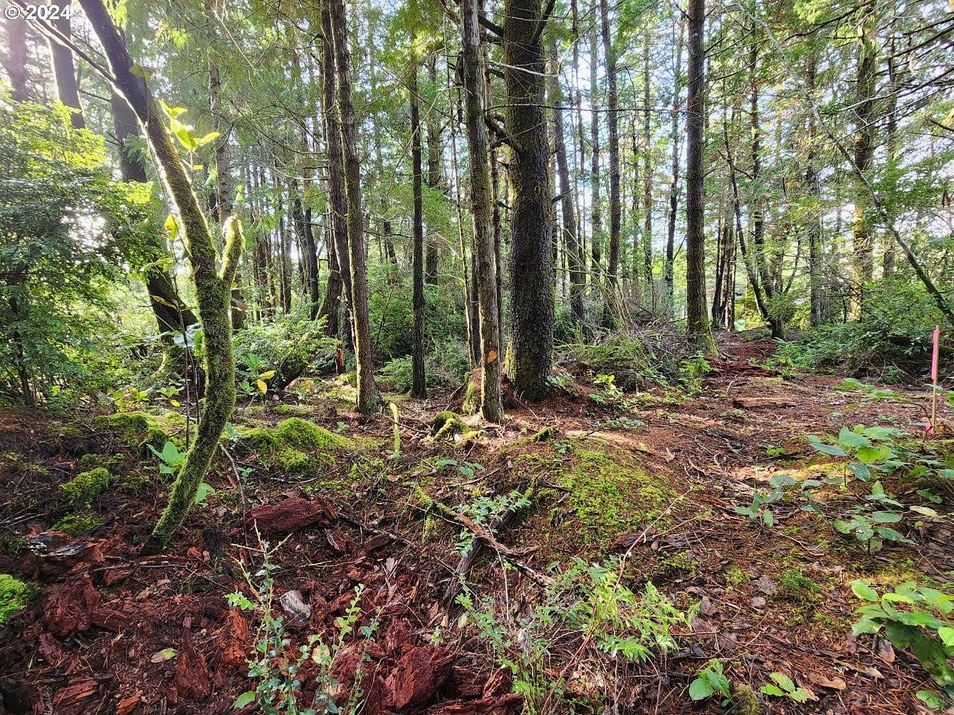 1 Acre of Residential Land for Sale in Port Orford, Oregon