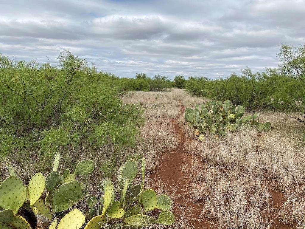 150.26 Acres of Recreational Land & Farm for Sale in Westbrook, Texas