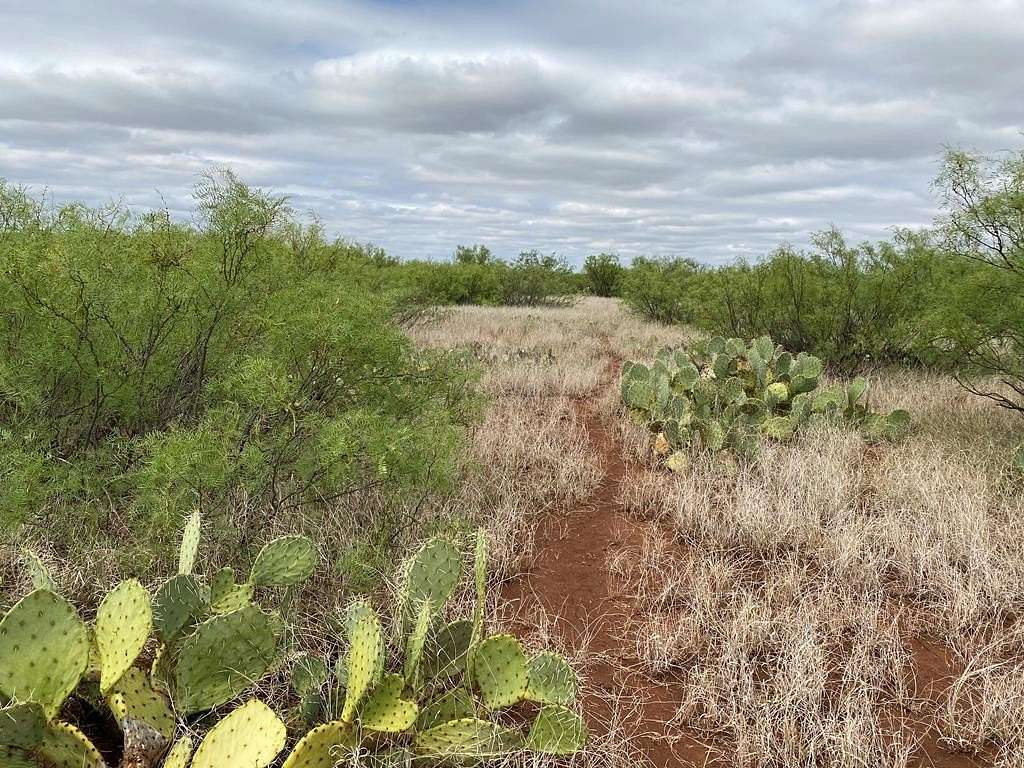 75 Acres of Recreational Land for Sale in Westbrook, Texas